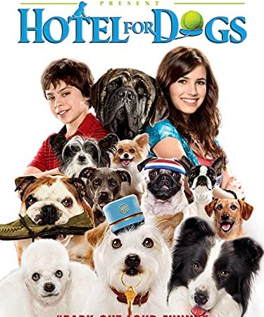 Hotel para perros