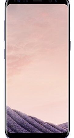 Samsung Galaxy S8 SM-G950F 14,7 cm (5.8") 4 GB 64 GB SIM única 4G Gris 3000 mAh - Smartphone (14,7 cm (5.8"), 1440 x 2960 Pixeles, 4 GB, 64 GB, 12 MP, Gris)