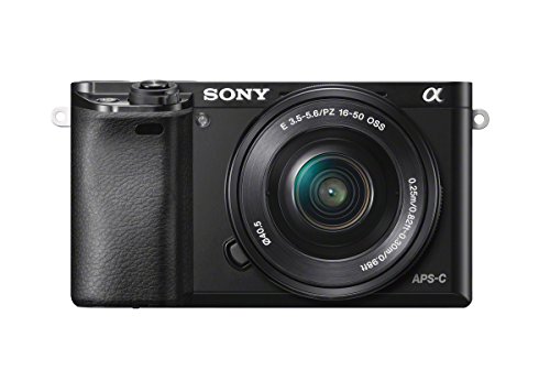 Mejor sony a6000 en 2024 [basado en 50 revisiones de expertos]