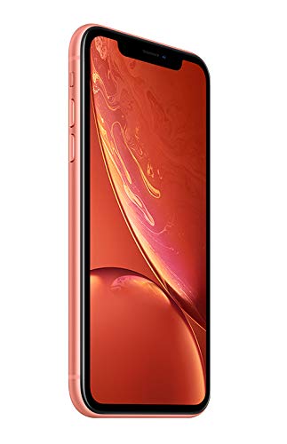 Mejor iphone xr en 2024 [basado en 50 revisiones de expertos]